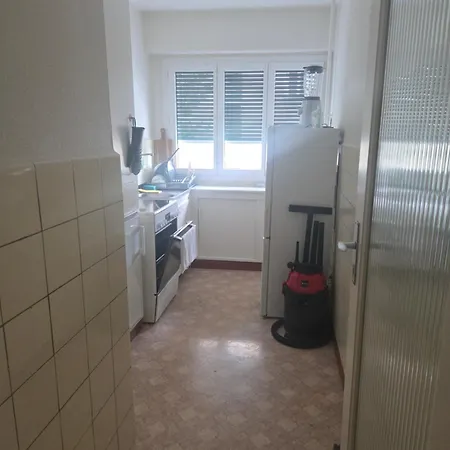 One In A Large Shared Lausanne