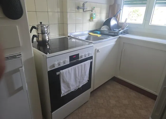 One In A Large Shared *